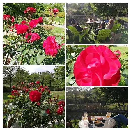 Casa Do Casal Semesterbostad Guimarães