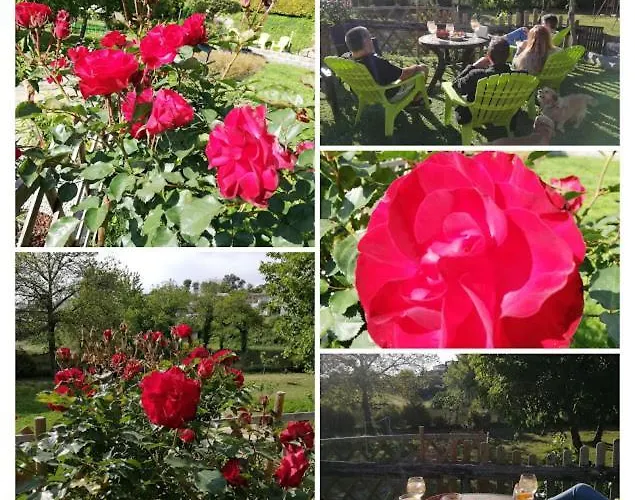 Casa Do Casal 度假居 吉马良斯